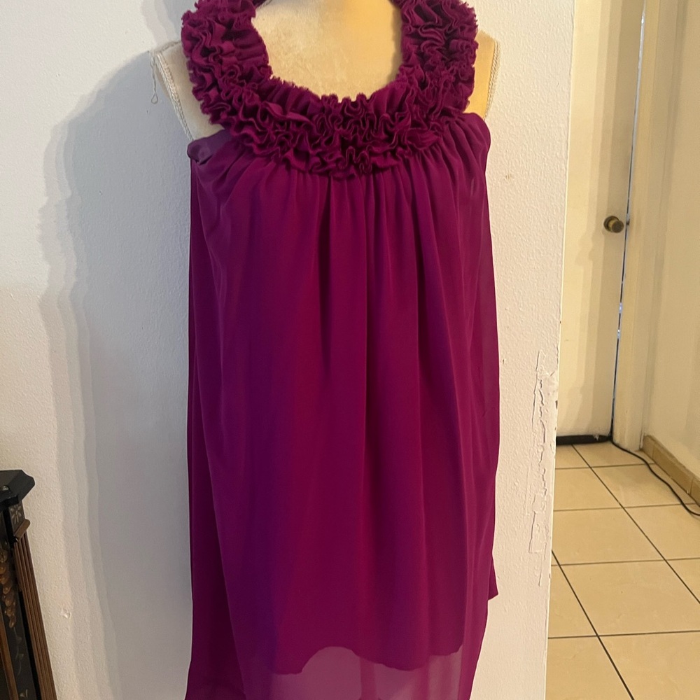 Magenta Ruffled Dress